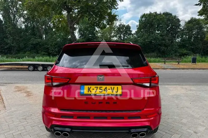 2019 Cupra Other