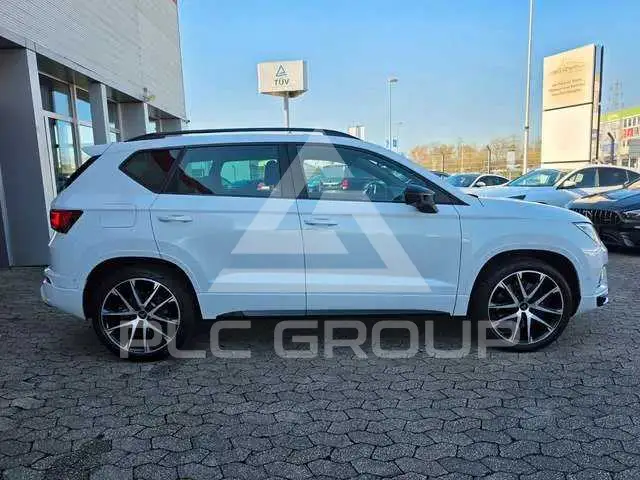 2019 Cupra Other
