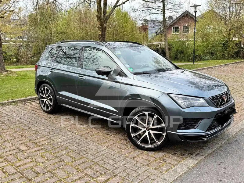 2019 Cupra Other