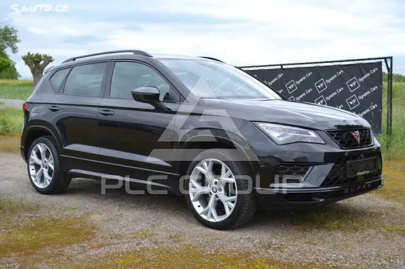 2019 Cupra Other
