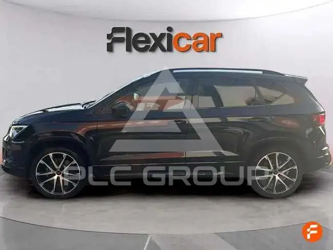 2019 Cupra Other