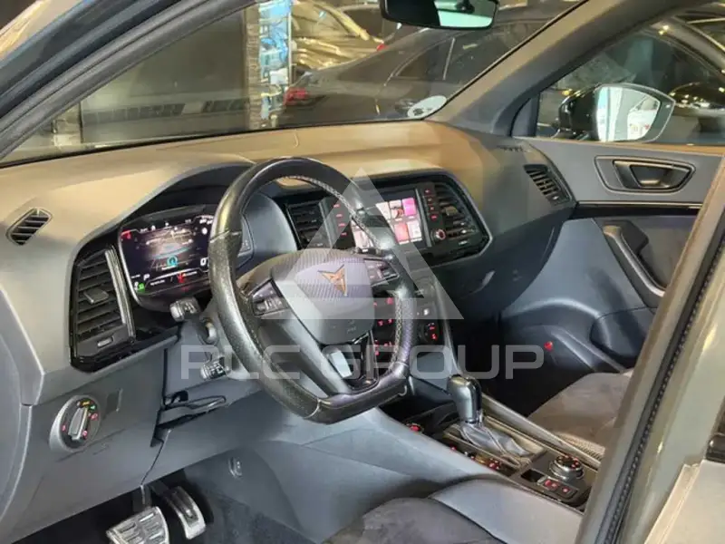 2019 Cupra Other