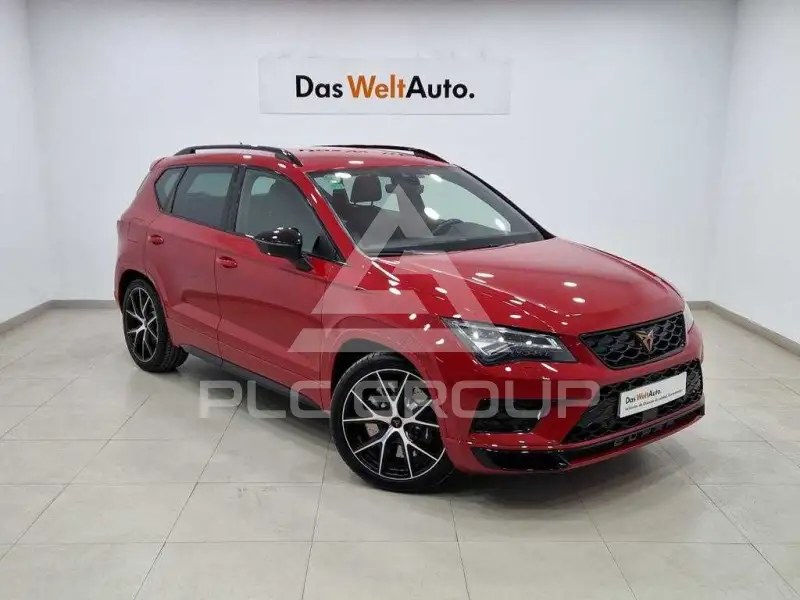 2019 Cupra Other