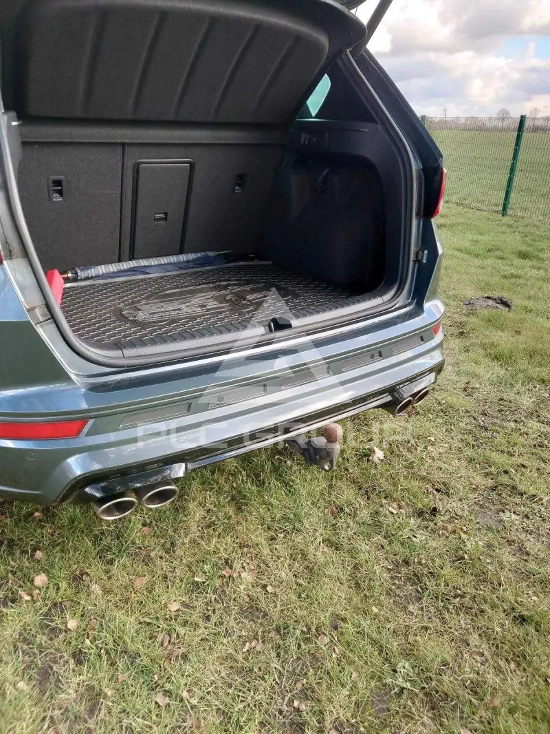 2019 Cupra Other