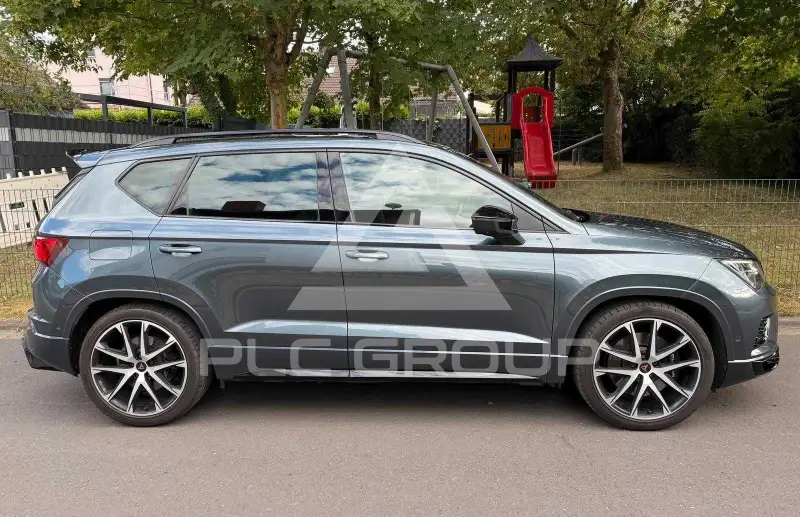 2019 Cupra Other