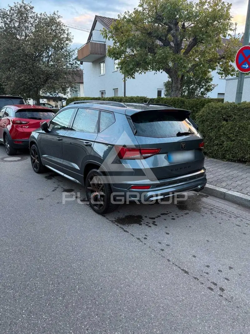 2019 Cupra Other