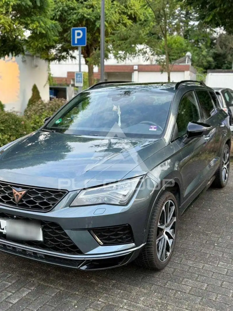 2019 Cupra Other
