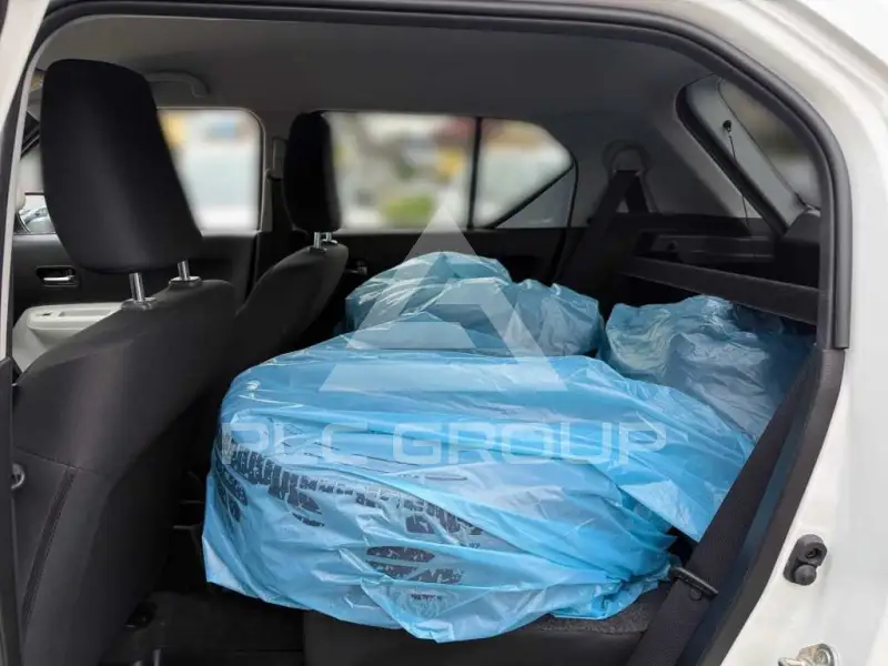 2019 Suzuki Ignis