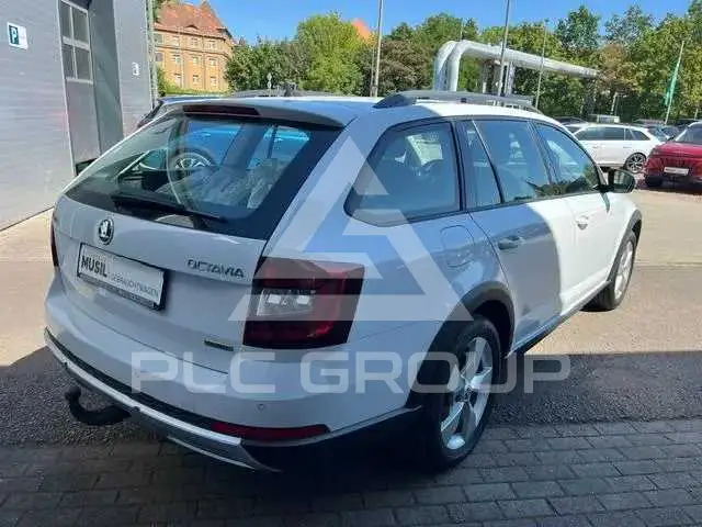 2019 Skoda Octavia