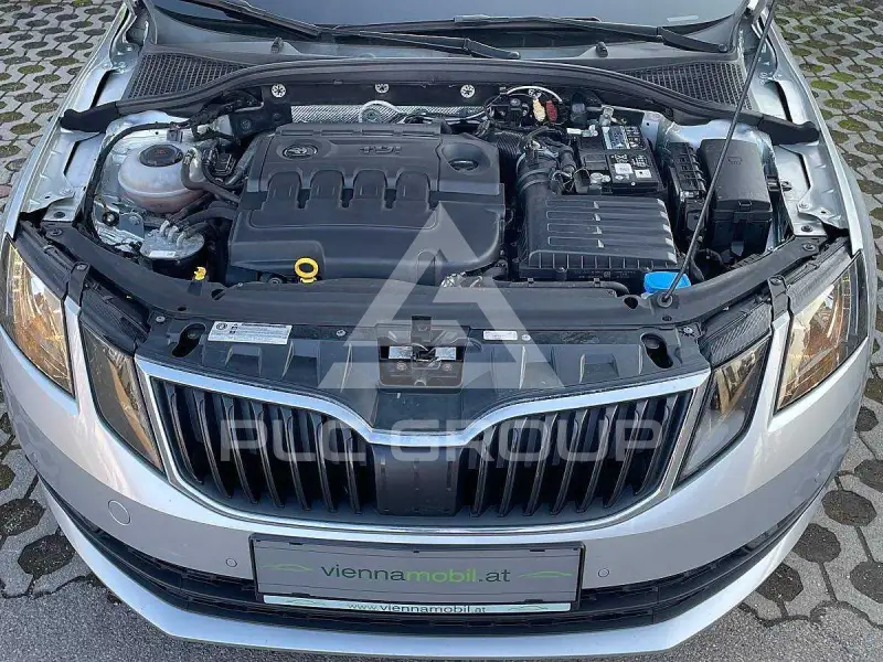2019 Skoda Octavia