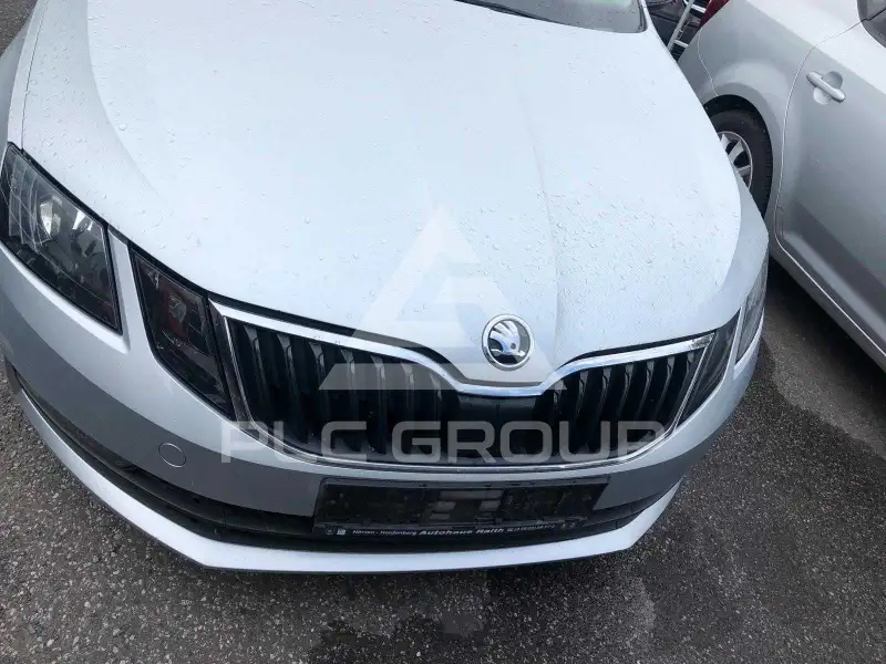 2019 Skoda Octavia