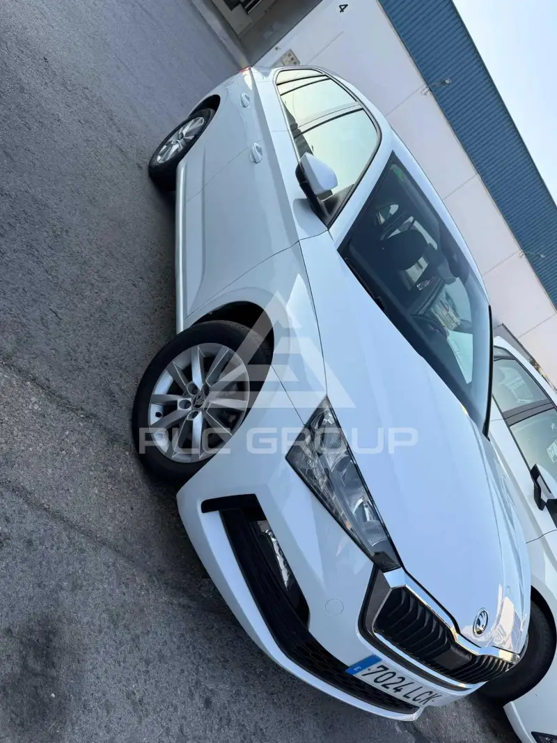 2019 Skoda Scala
