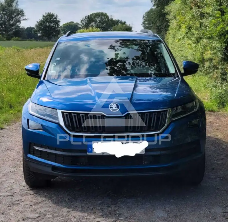 2019 Skoda Kodiaq