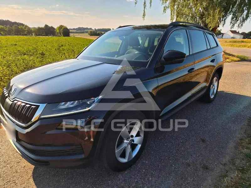 2019 Skoda Kodiaq