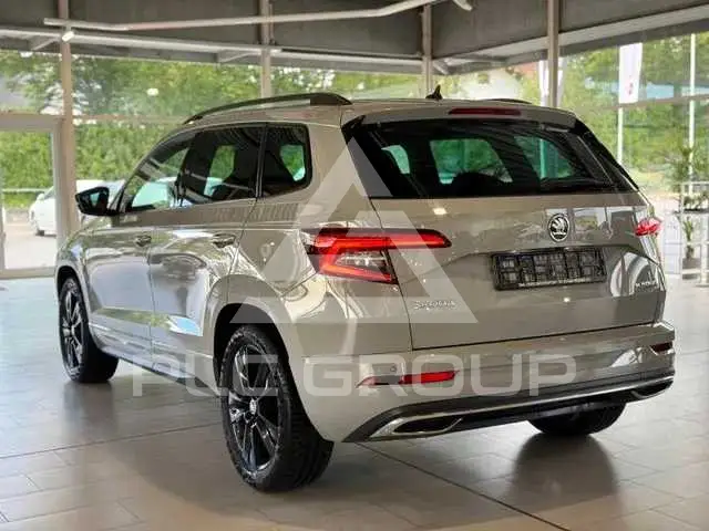 2019 Skoda Karoq
