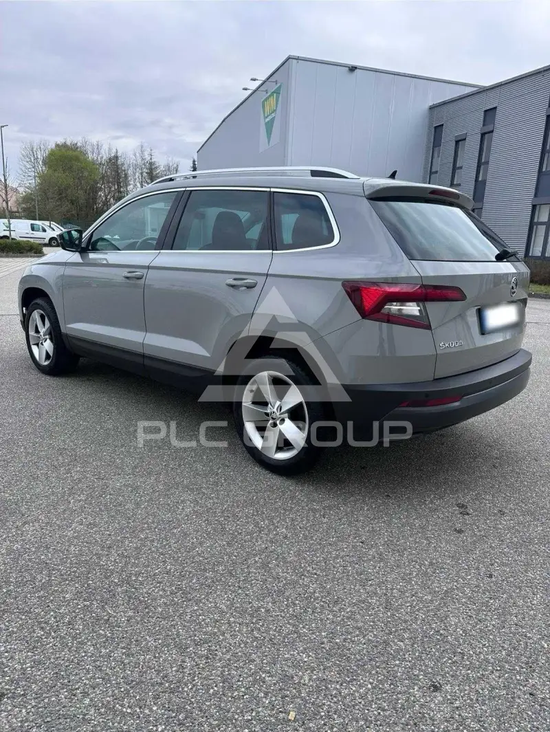 2019 Skoda Karoq