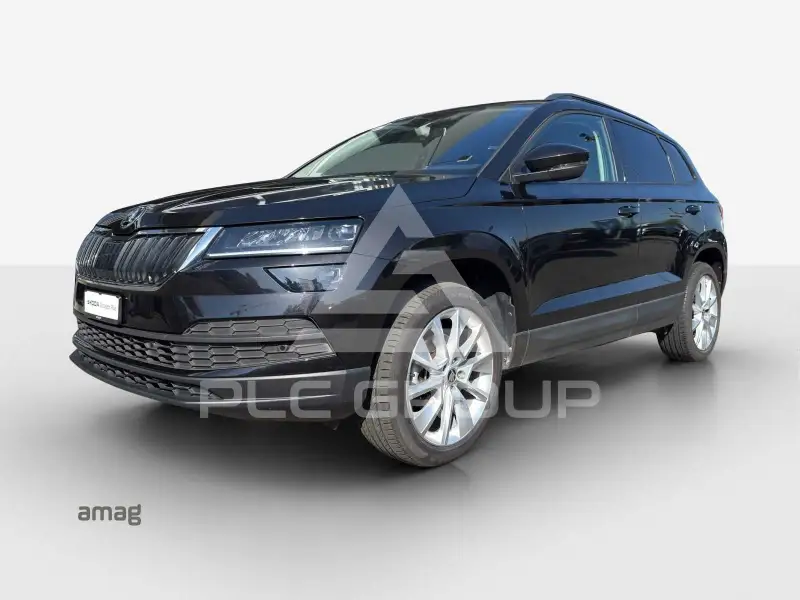 2019 Skoda Karoq