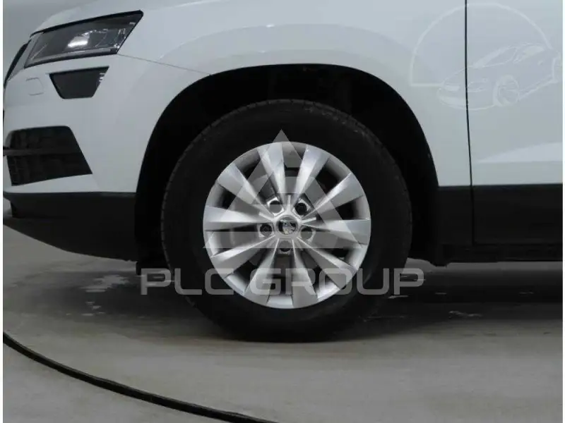 2019 Skoda Karoq