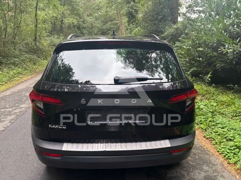 2019 Skoda Karoq