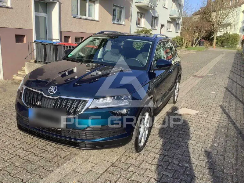 2019 Skoda Karoq