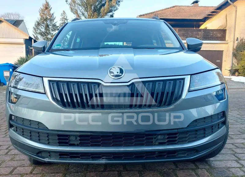 2019 Skoda Karoq