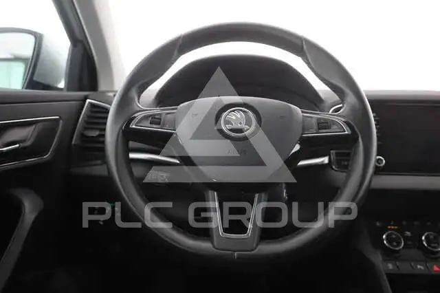 2019 Skoda Karoq