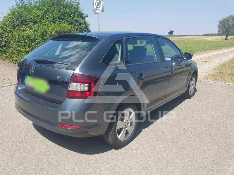 2019 Skoda Rapid