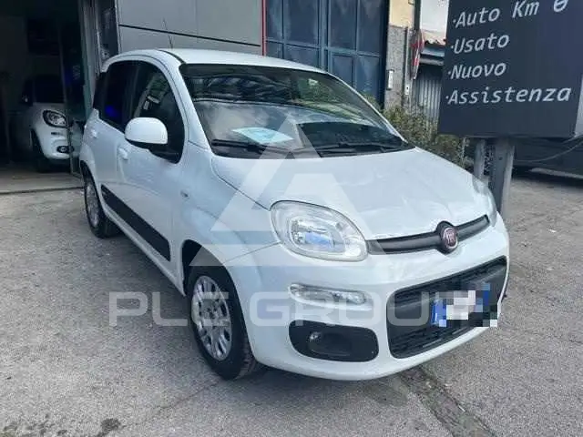 2019 Fiat Panda