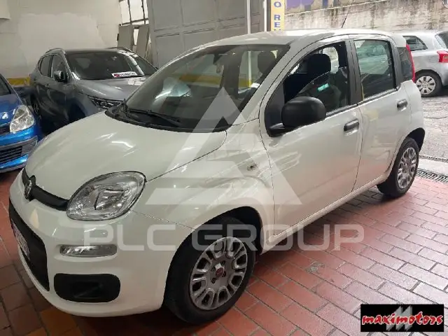 2019 Fiat Panda