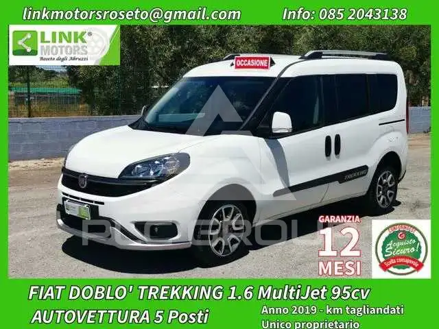 2019 Fiat Doblo