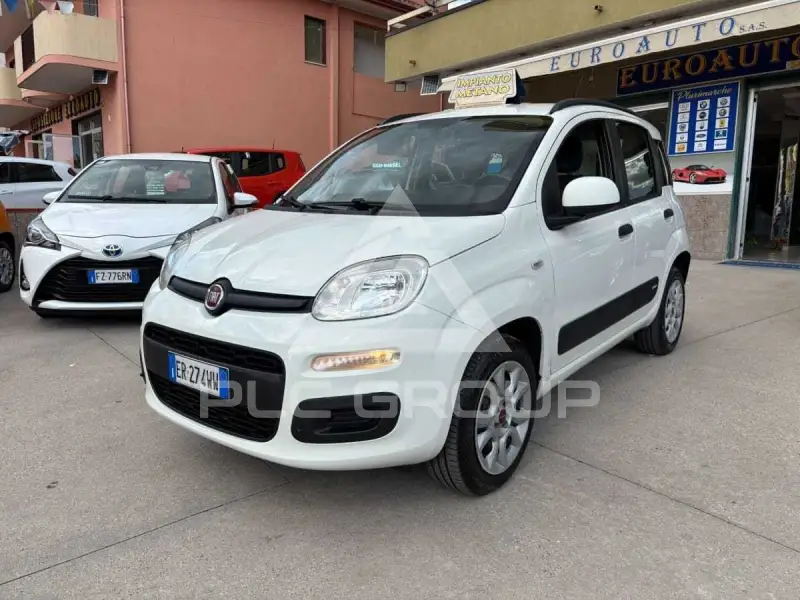 2019 Fiat Bravo
