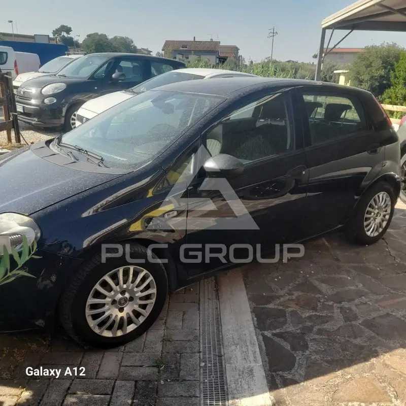2019 Fiat Punto