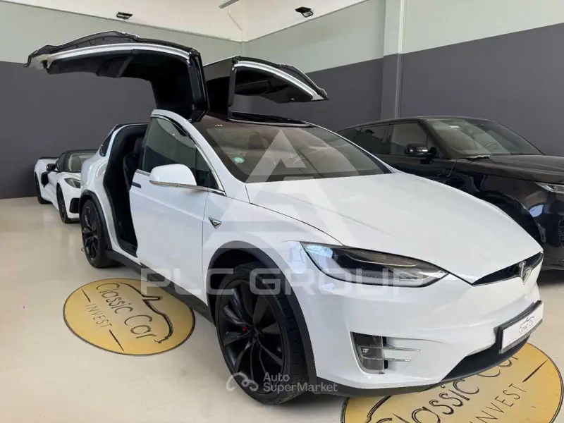 2019 Tesla Model X