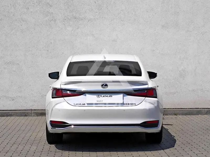 2019 Lexus ES