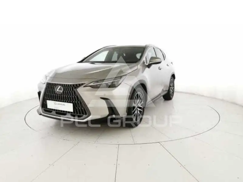 2019 Lexus NX