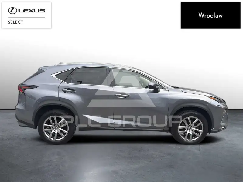 2019 Lexus NX