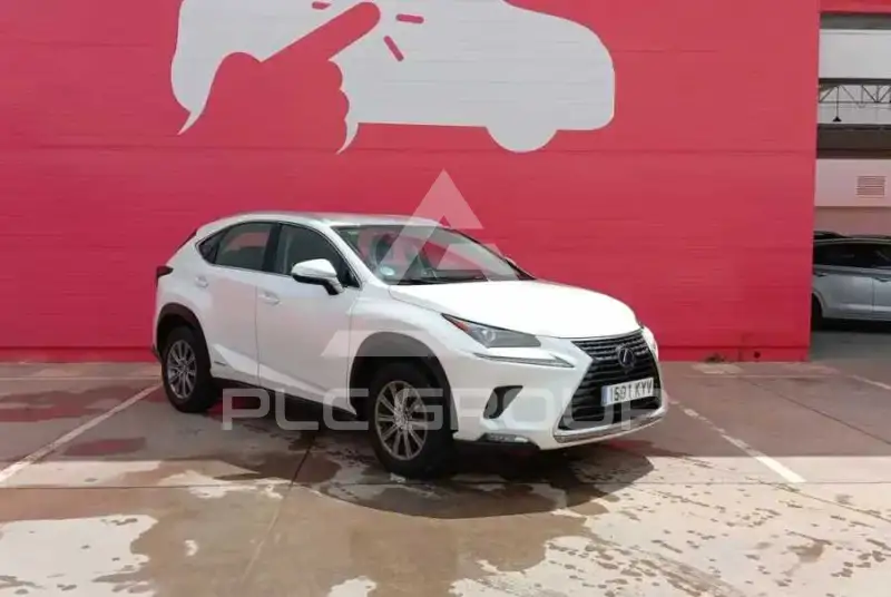 2019 Lexus NX