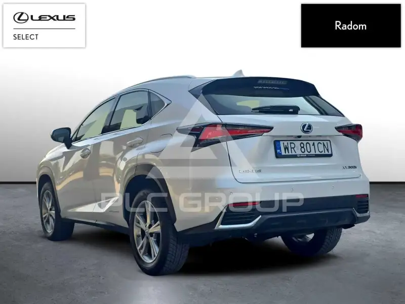 2019 Lexus NX