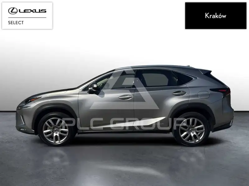 2019 Lexus NX