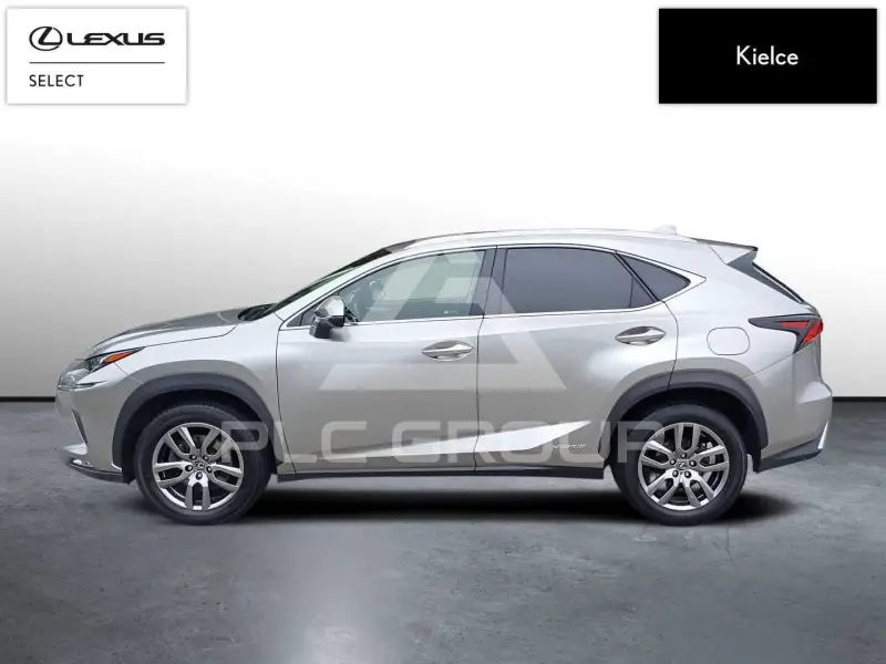 2019 Lexus NX