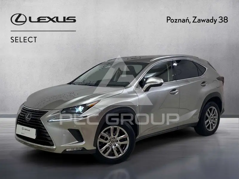 2019 Lexus NX