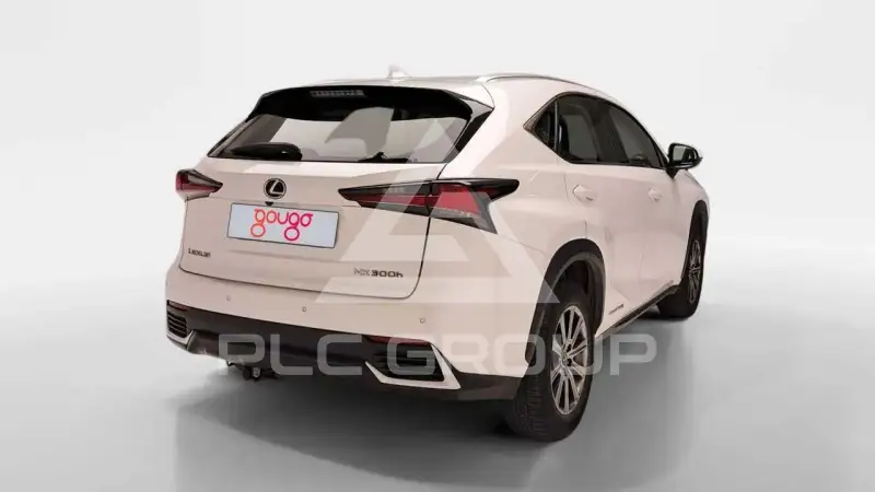 2019 Lexus NX