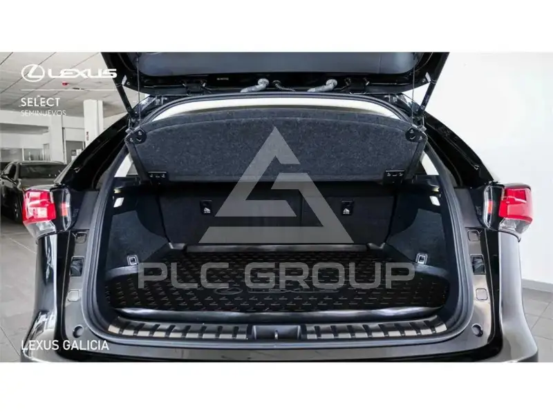 2019 Lexus NX