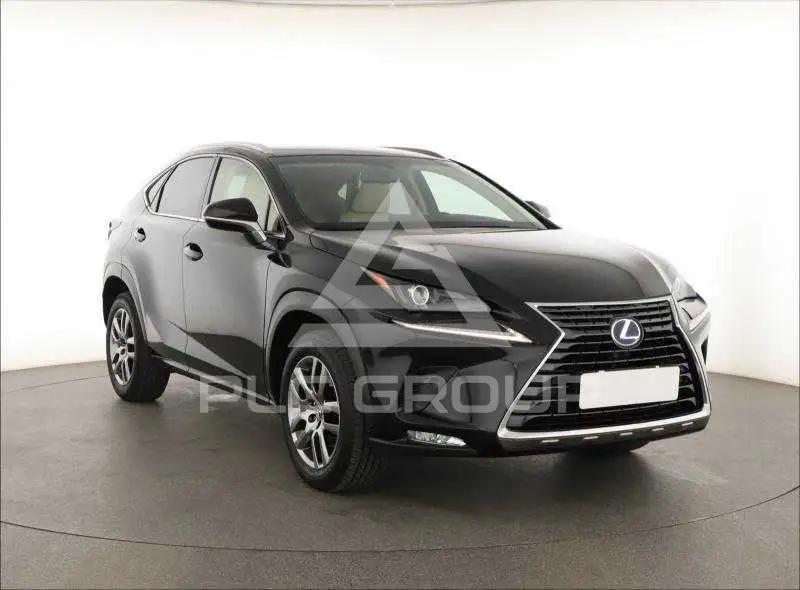 2019 Lexus NX