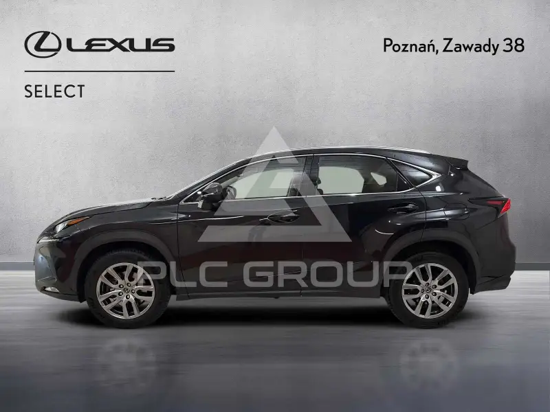 2019 Lexus NX