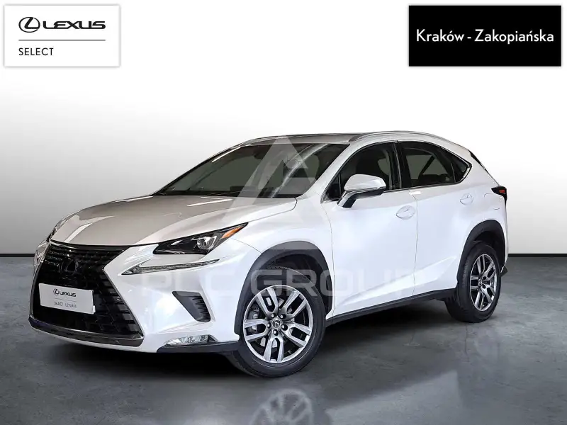 2019 Lexus NX