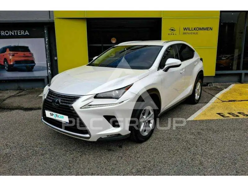 2019 Lexus NX