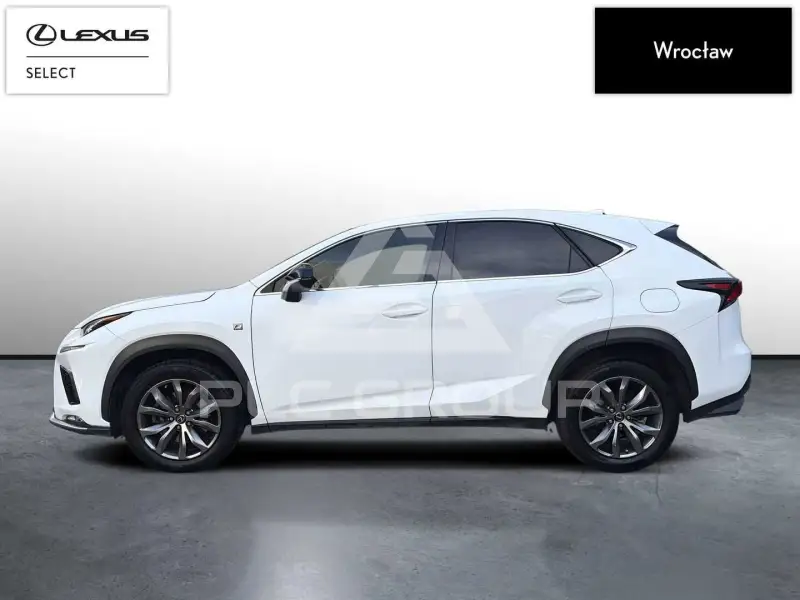 2019 Lexus NX