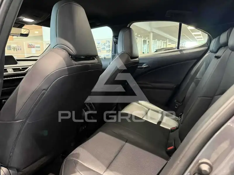 2019 Lexus UX