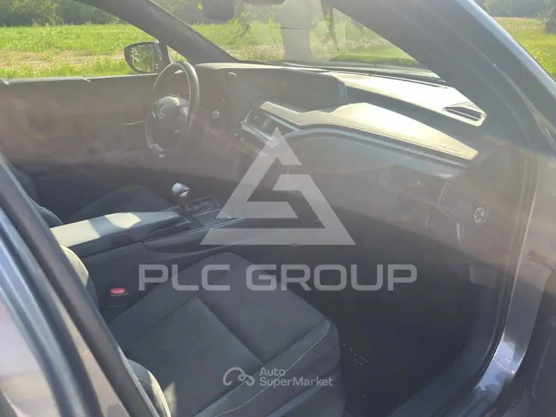 2019 Lexus UX